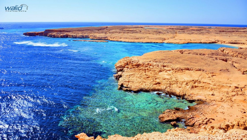 Ras Mohammed Dive Trip with Lunch from Sharm El Sheikh Port | ®ExcursionMania
