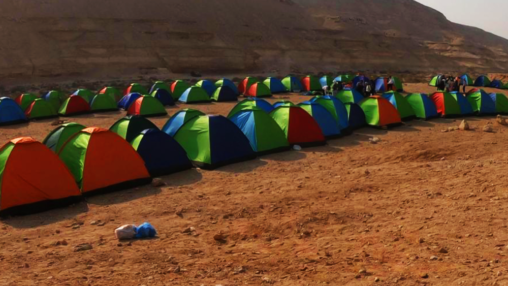 Wadi Degla Tour: Hike, Wildlife, and Scenic Desert Views | ®ExcursionMania