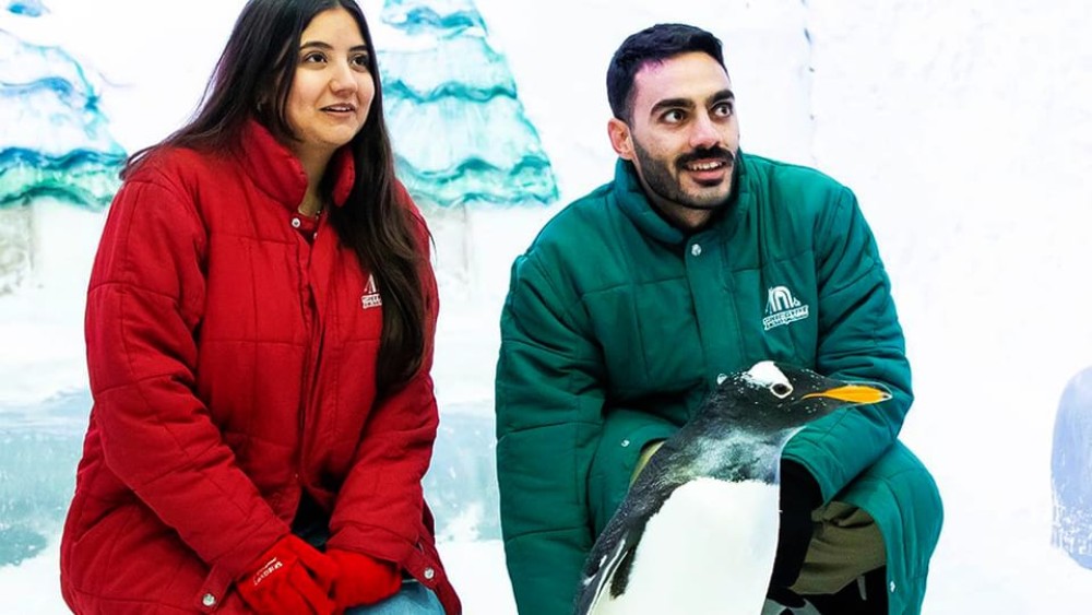 Pyramids to Penguins: Sand and Snow Adventure in Cairo | ®ExcursionMania