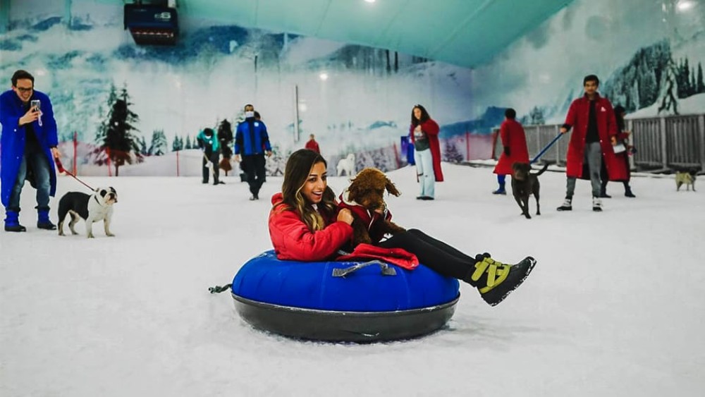 Pyramids to Penguins: Sand and Snow Adventure in Cairo | ®ExcursionMania