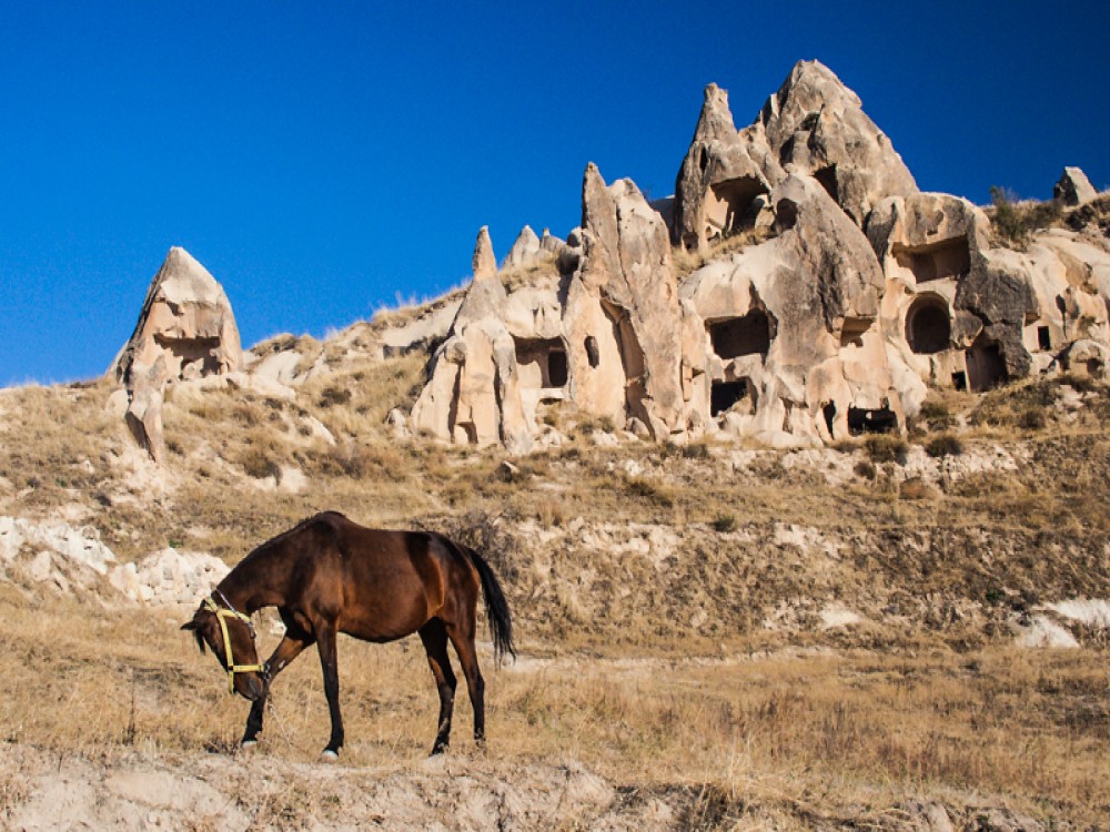Cappadocia Adventure Combo: Horse Quad and Shooting with Camel | ®ExcursionMania
