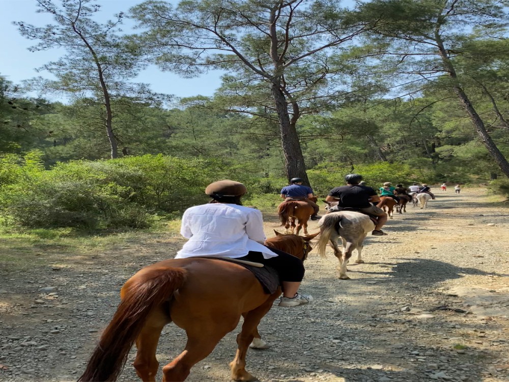 Antalya: Lara Beach & Forrest Horse Riding Safari | ®ExcursionMania