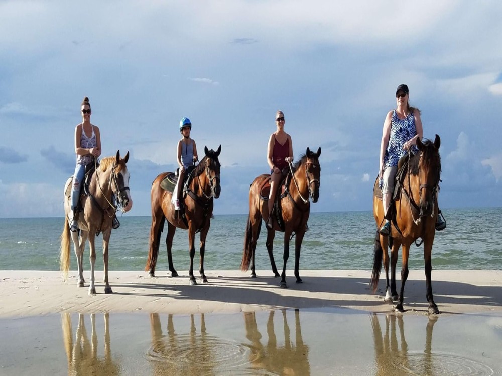 Antalya: Lara Beach & Forrest Horse Riding Safari | ®ExcursionMania