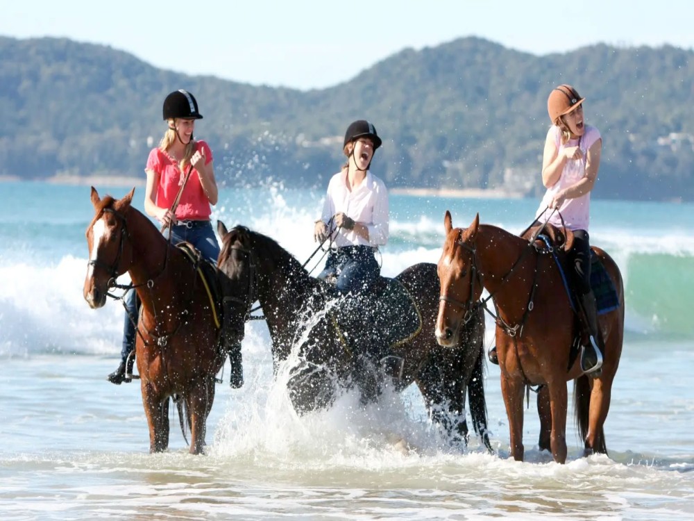 Antalya: Lara Beach & Forrest Horse Riding Safari | ®ExcursionMania