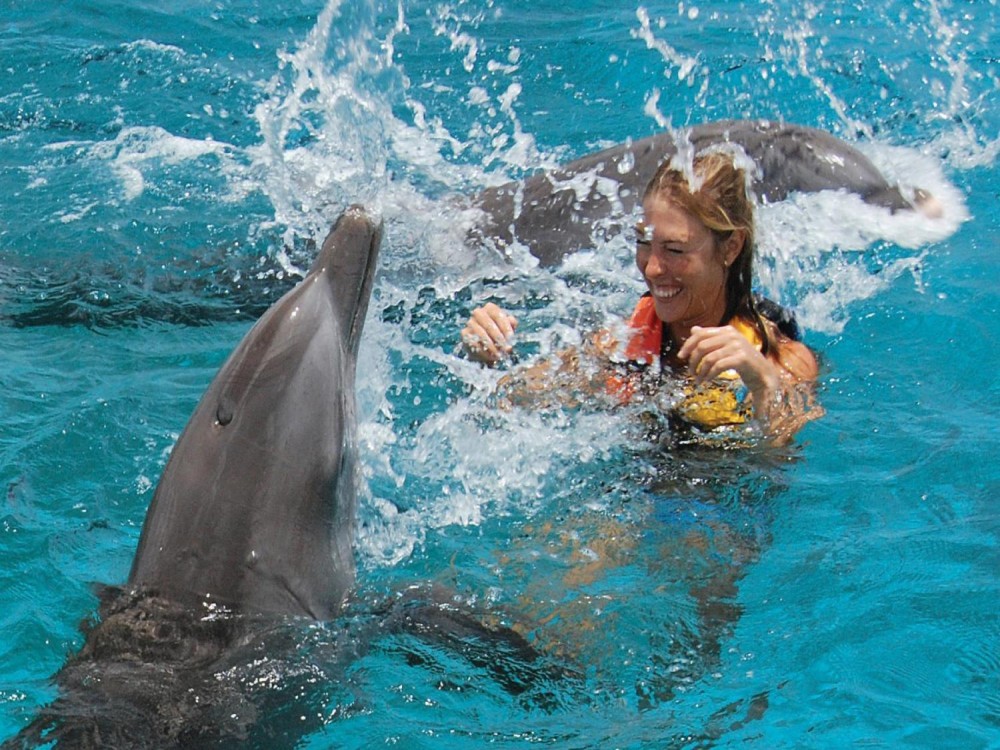 Antalya: Swimming with Dolphins & Hotel Transfer | ®ExcursionMania