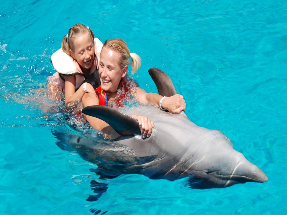 Antalya: Swimming with Dolphins & Hotel Transfer | ®ExcursionMania
