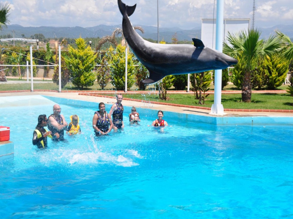 Antalya: Dolphin Show with Hotel Transfer | ®ExcursionMania