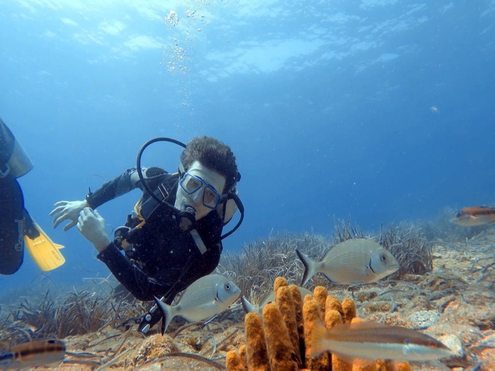 Olympos Diving Adventure: Explore the Mediterranean Depths | ®ExcursionMania