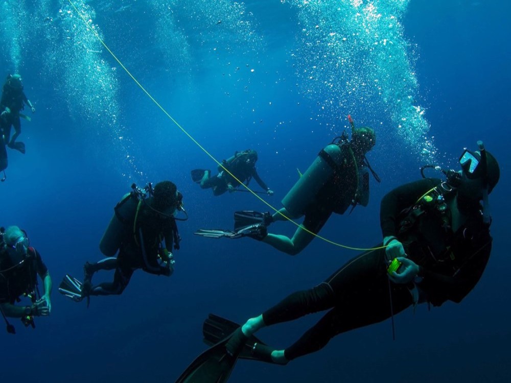 Olympos Diving Adventure: Explore the Mediterranean Depths | ®ExcursionMania