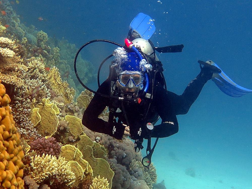 Olympos Diving Adventure: Explore the Mediterranean Depths | ®ExcursionMania