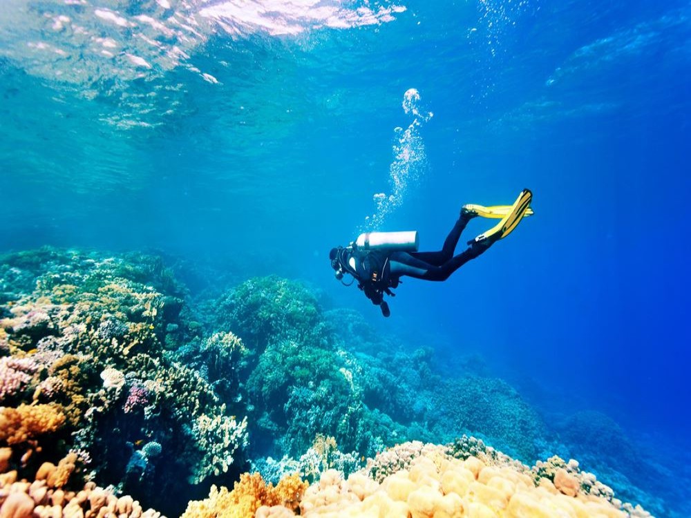 Olympos Diving Adventure: Explore the Mediterranean Depths | ®ExcursionMania