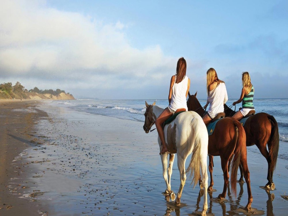Manavgat-Side Horseback Exploration: Beach to Forest | ®ExcursionMania
