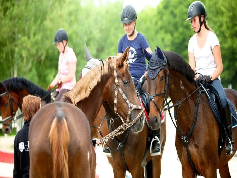 Selcuk Horse Safari: Nature and History Unbridled | ®ExcursionMania