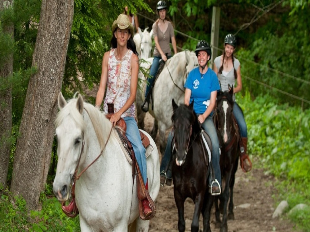 Selcuk Horse Safari: Nature and History Unbridled | ®ExcursionMania