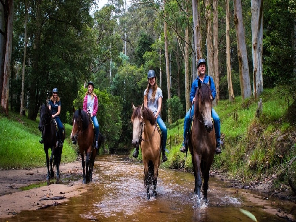 Selcuk Horse Safari: Nature and History Unbridled | ®ExcursionMania