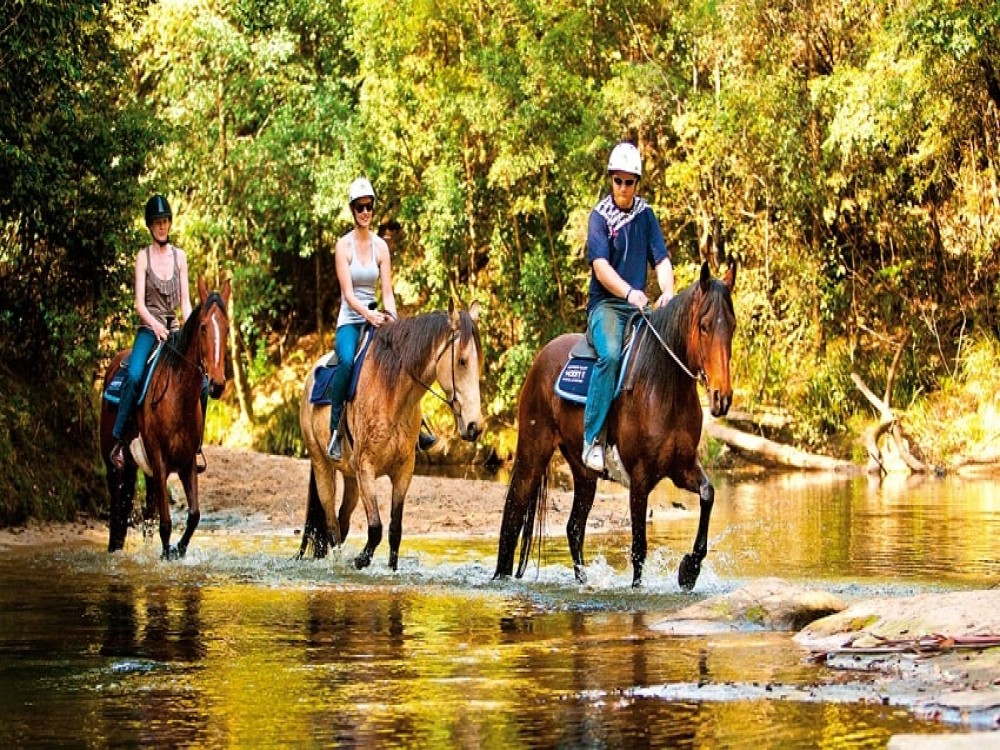 Selcuk Horse Safari: Nature and History Unbridled | ®ExcursionMania