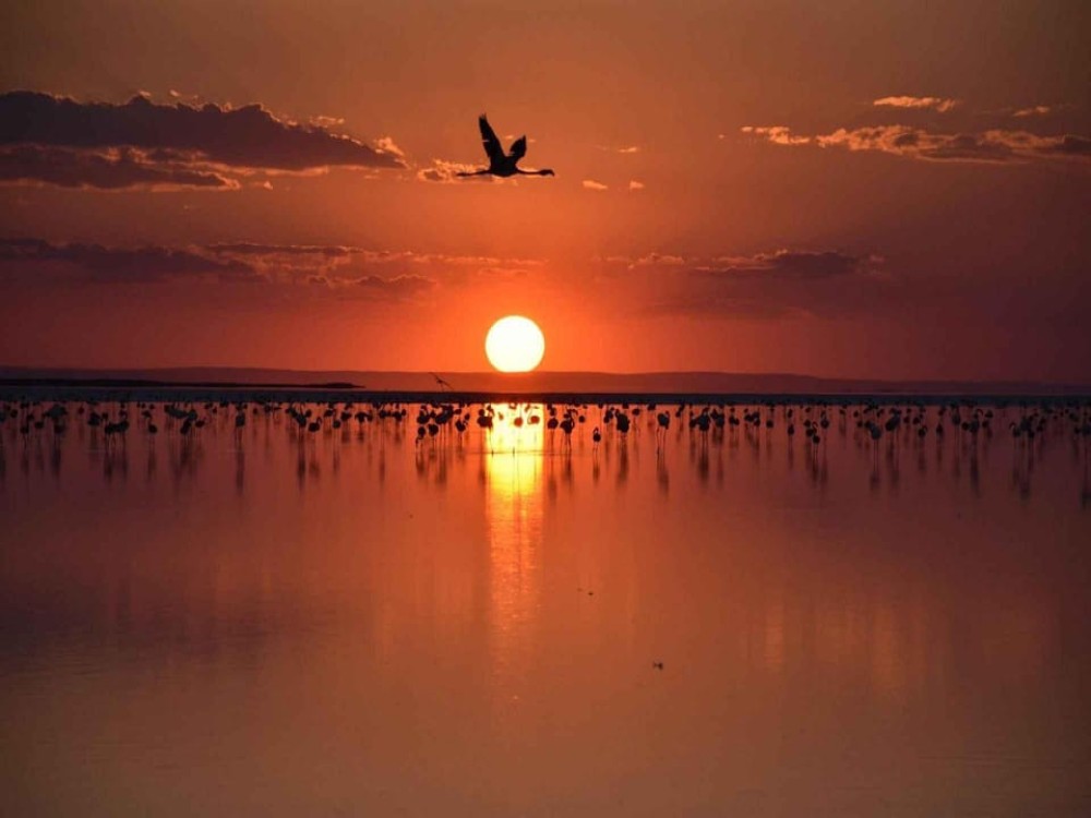 From Cappadocia: Private Salt Lake Tour w/Transfer | ®ExcursionMania