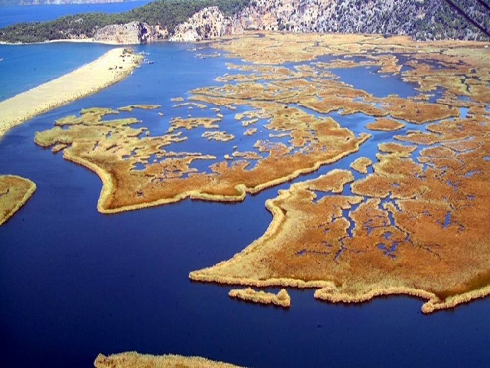 Didim Dalyan & Turtle Beach Tour: Mud Baths Turtles and More | ®ExcursionMania