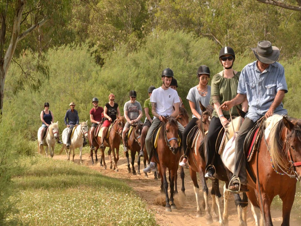 Didim Horse Safari: Saddle Up for Adventure | ®ExcursionMania
