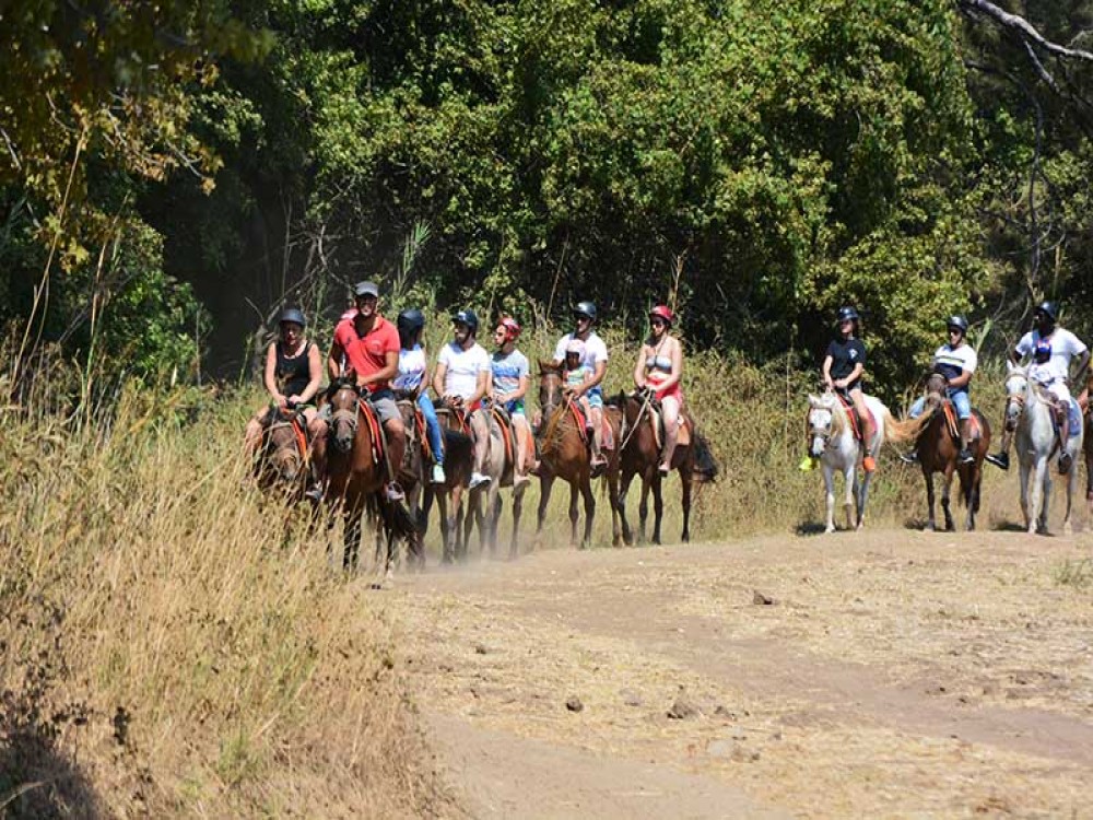 Didim Horse Safari: Saddle Up for Adventure | ®ExcursionMania