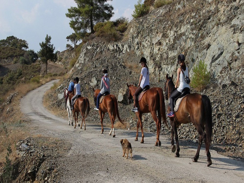 Didim Horse Safari: Saddle Up for Adventure | ®ExcursionMania