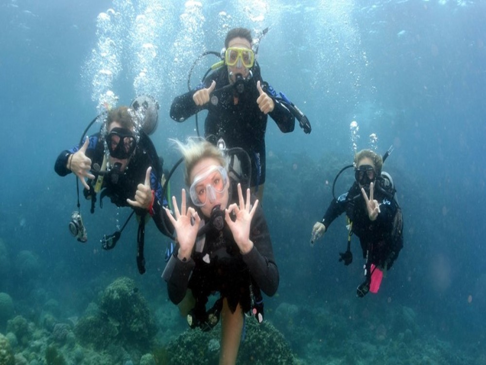 Didim Scuba Diving: Dive into the Blue Aegean Waters | ®ExcursionMania