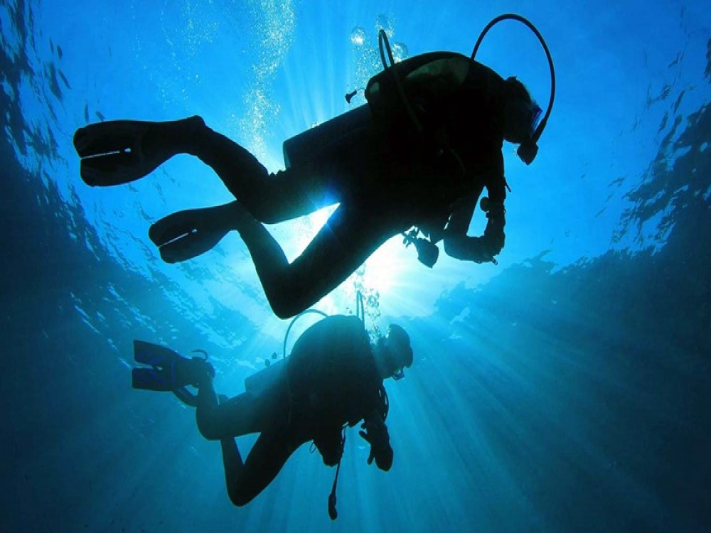 Didim Scuba Diving: Dive into the Blue Aegean Waters | ®ExcursionMania
