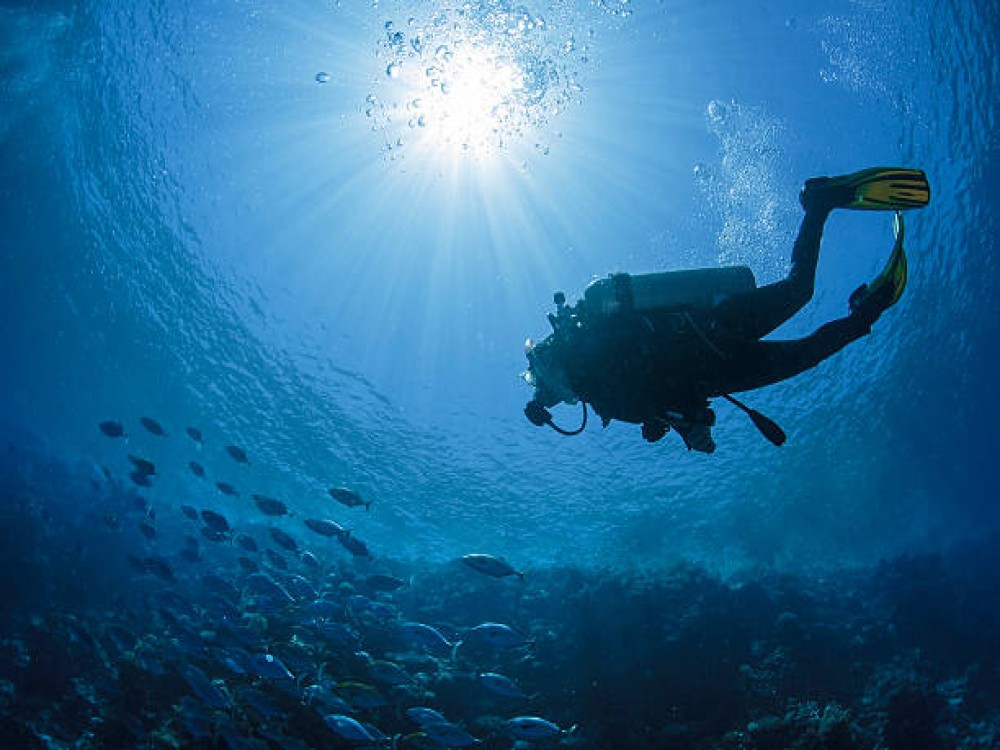 Didim Scuba Diving: Dive into the Blue Aegean Waters | ®ExcursionMania