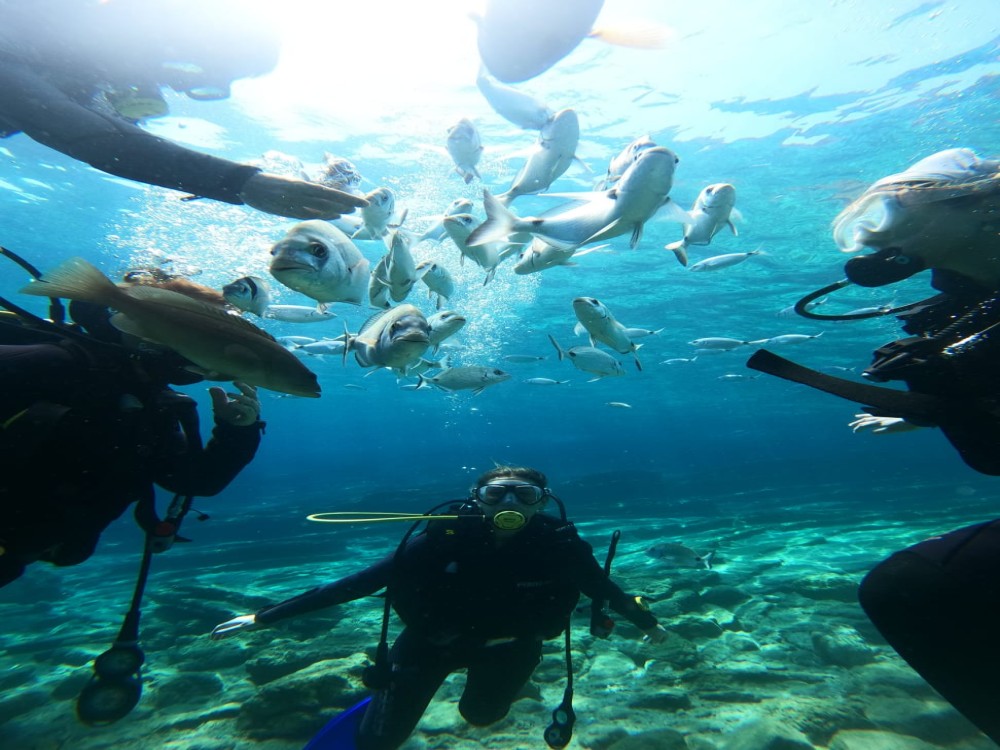Didim Scuba Diving: Dive into the Blue Aegean Waters | ®ExcursionMania