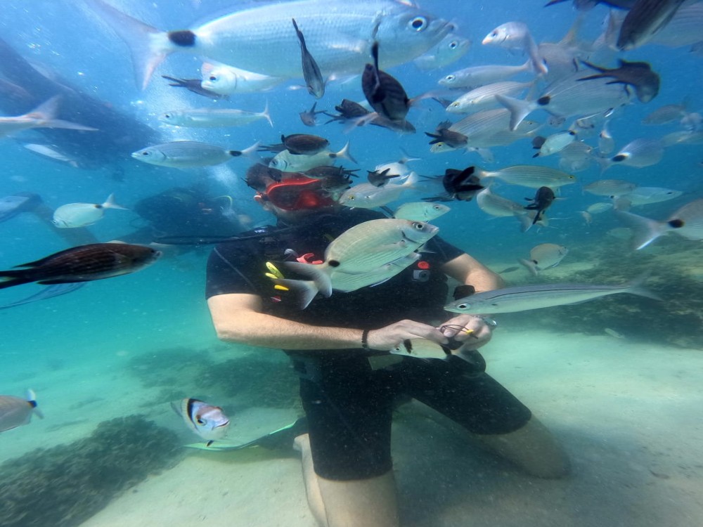 Didim Scuba Diving: Dive into the Blue Aegean Waters | ®ExcursionMania