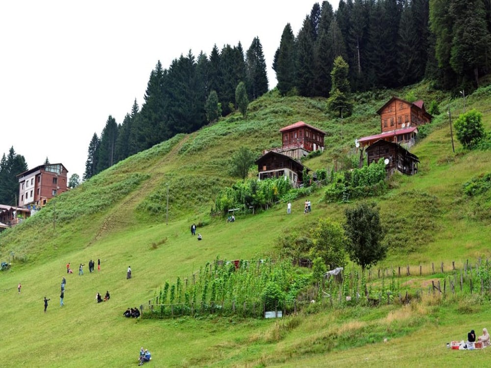 Trabzon: Ayder Tour  Kackar Mountains  Firtina Valley | ®ExcursionMania