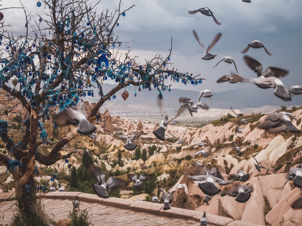 Istanbul 2-Days Cappadocia Trip with Flights and Cave Hotel | ®ExcursionMania