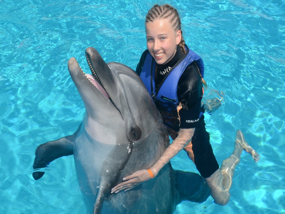Alanya Swim with Dolphins Tour: Make a Splash | ®ExcursionMania