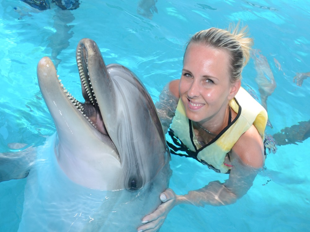 Alanya Swim with Dolphins Tour: Make a Splash | ®ExcursionMania