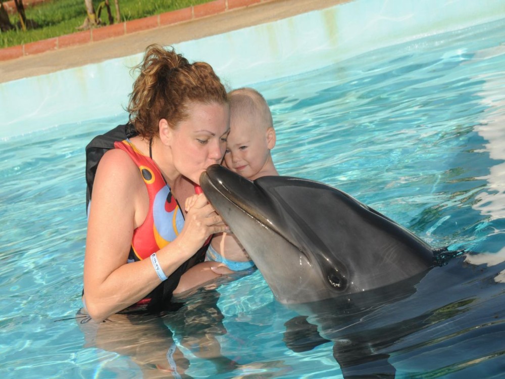Alanya Swim with Dolphins Tour: Make a Splash | ®ExcursionMania