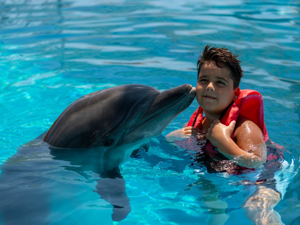 Alanya Swim with Dolphins Tour: Make a Splash | ®ExcursionMania