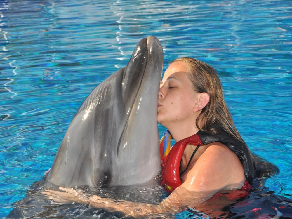 Alanya Swim with Dolphins Tour: Make a Splash | ®ExcursionMania