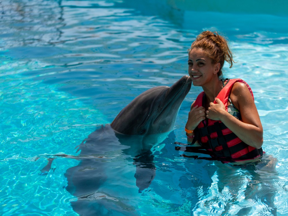 Alanya Swim with Dolphins Tour: Make a Splash | ®ExcursionMania