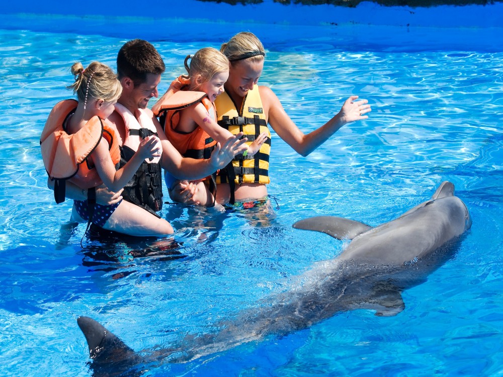 Alanya Swim with Dolphins Tour: Make a Splash | ®ExcursionMania