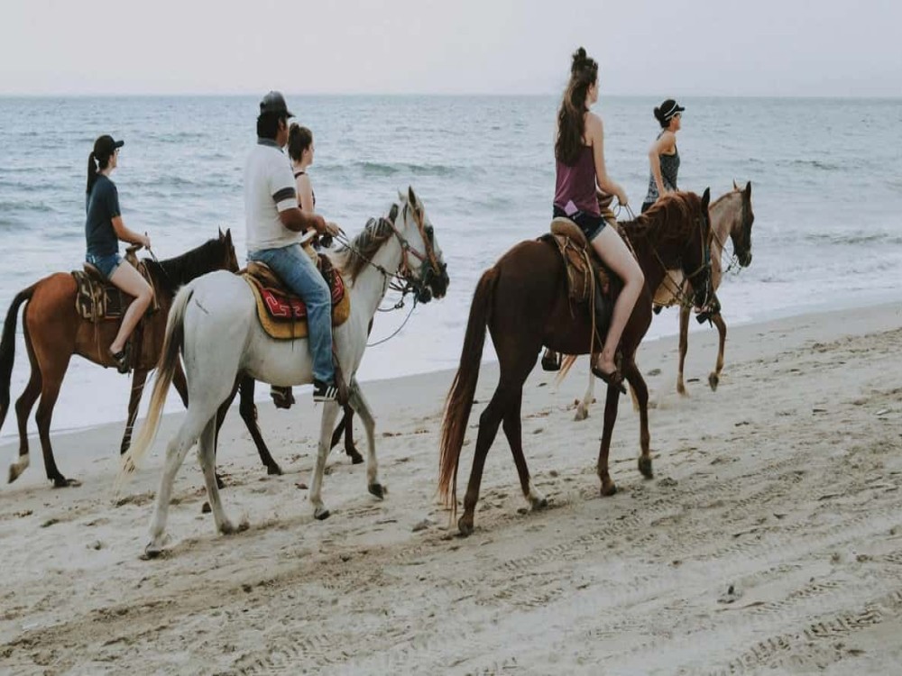 Side Horse Riding Beach and Forest Tour | ®ExcursionMania