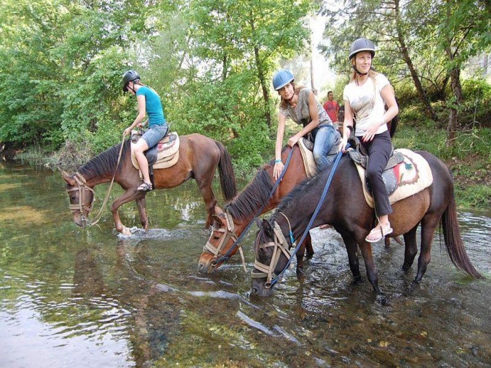 Side Horse Riding Beach and Forest Tour | ®ExcursionMania