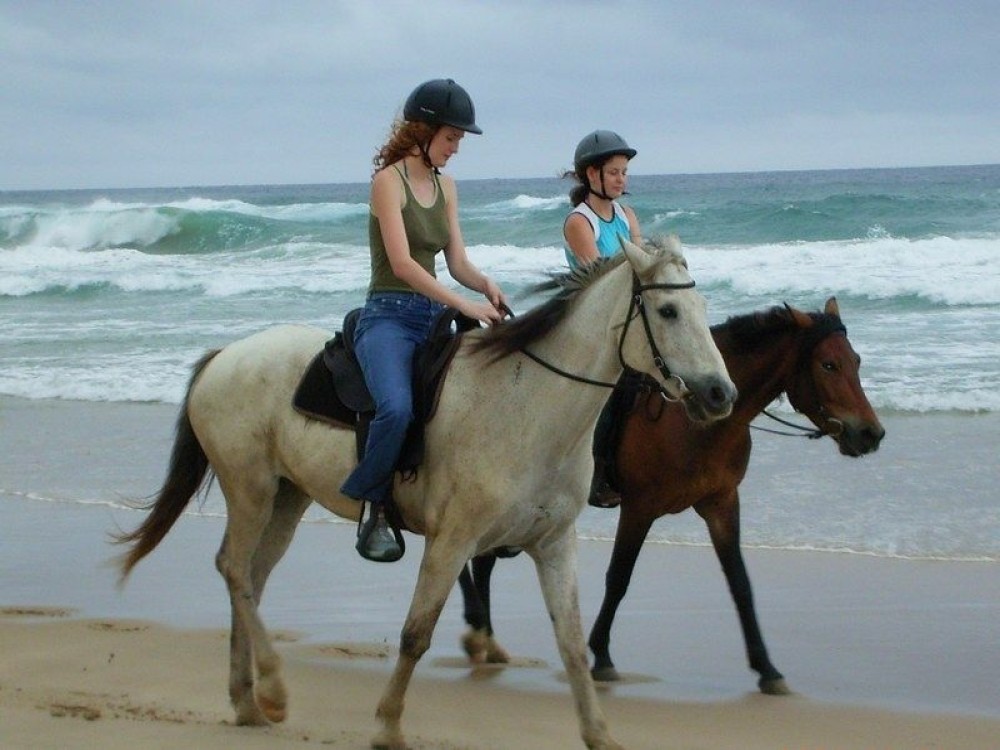 Side Horse Riding Beach and Forest Tour | ®ExcursionMania