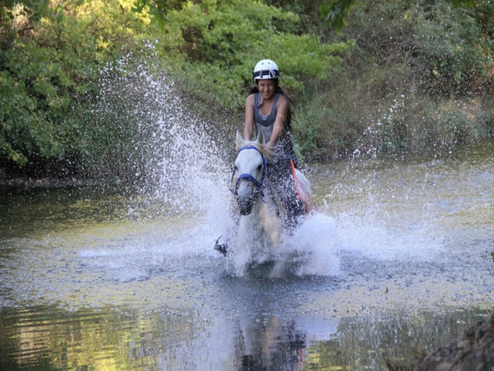 Side Horse Riding Beach and Forest Tour | ®ExcursionMania