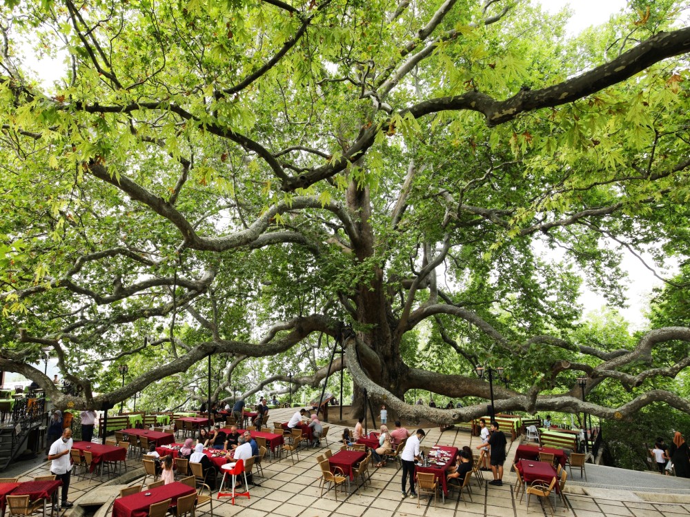 İstanbul: Bursa Uludag Mountain Tour & Cable Car Ride | ®ExcursionMania