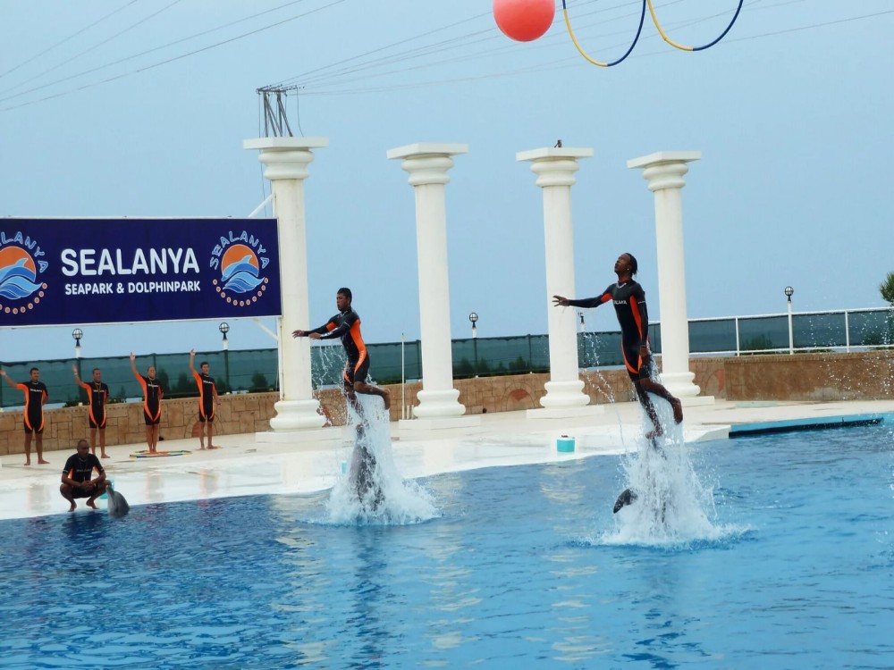 Alanya: Dolphin Show & Swimming with Dolphins Tour | ®ExcursionMania