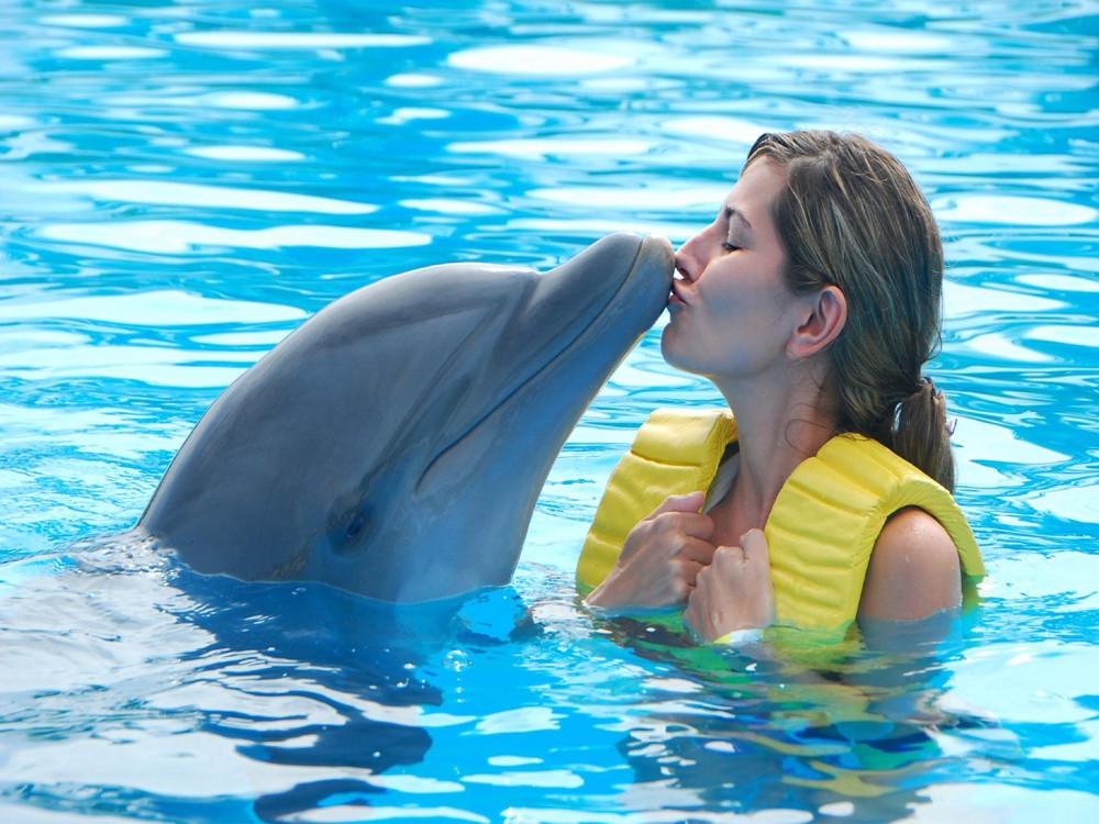 Alanya: Dolphin Show & Swimming with Dolphins Tour | ®ExcursionMania