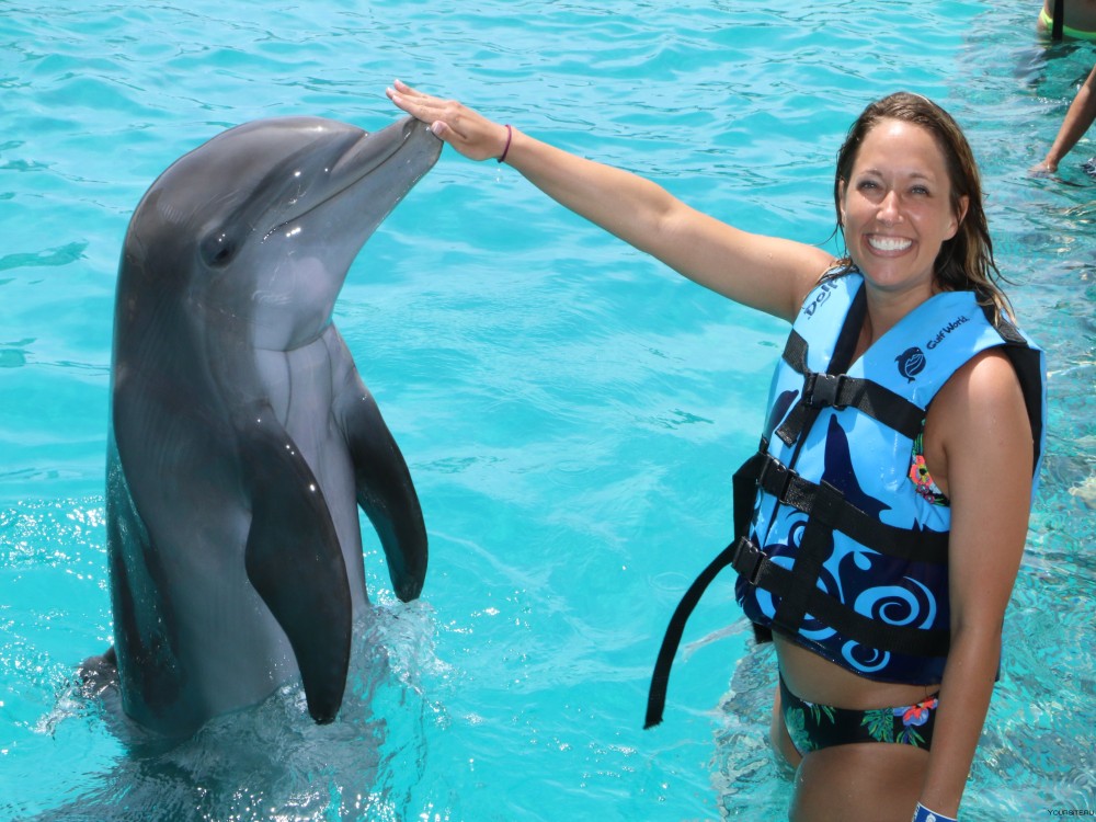 Alanya: Dolphin Show & Swimming with Dolphins Tour | ®ExcursionMania