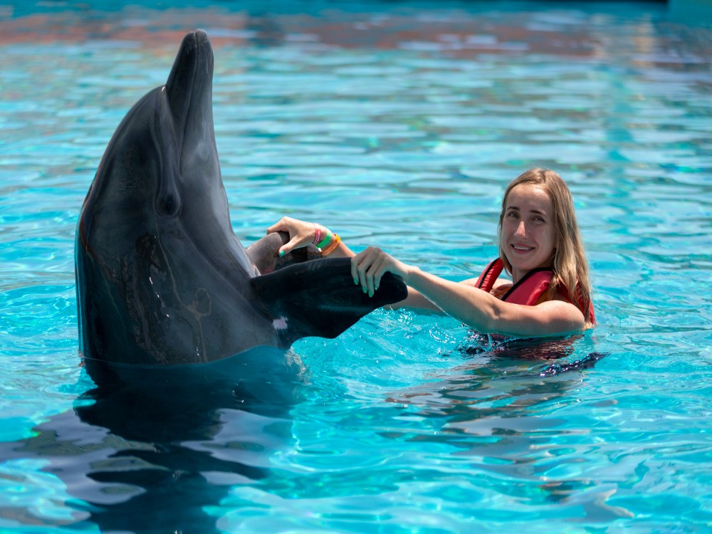 Side: Swim with Dolphin w/ Hotel Transfer | ®ExcursionMania