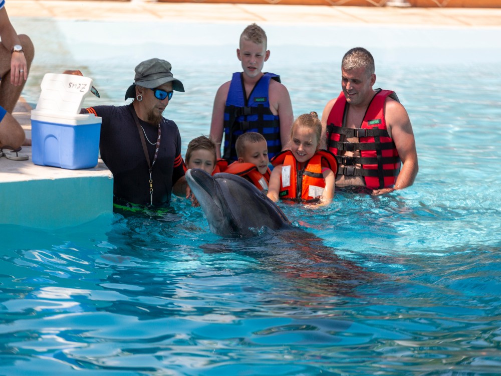 Side: Swim with Dolphin w/ Hotel Transfer | ®ExcursionMania