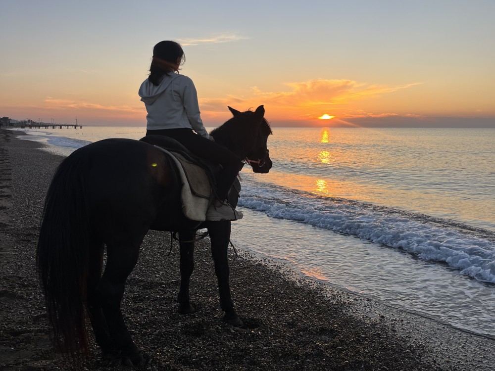 From Belek: Lara Beach  Forrest Horse Riding Safari | ®ExcursionMania